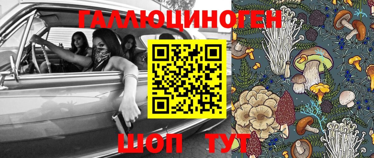Галлюциногенные грибы прущие грибы Тихвин