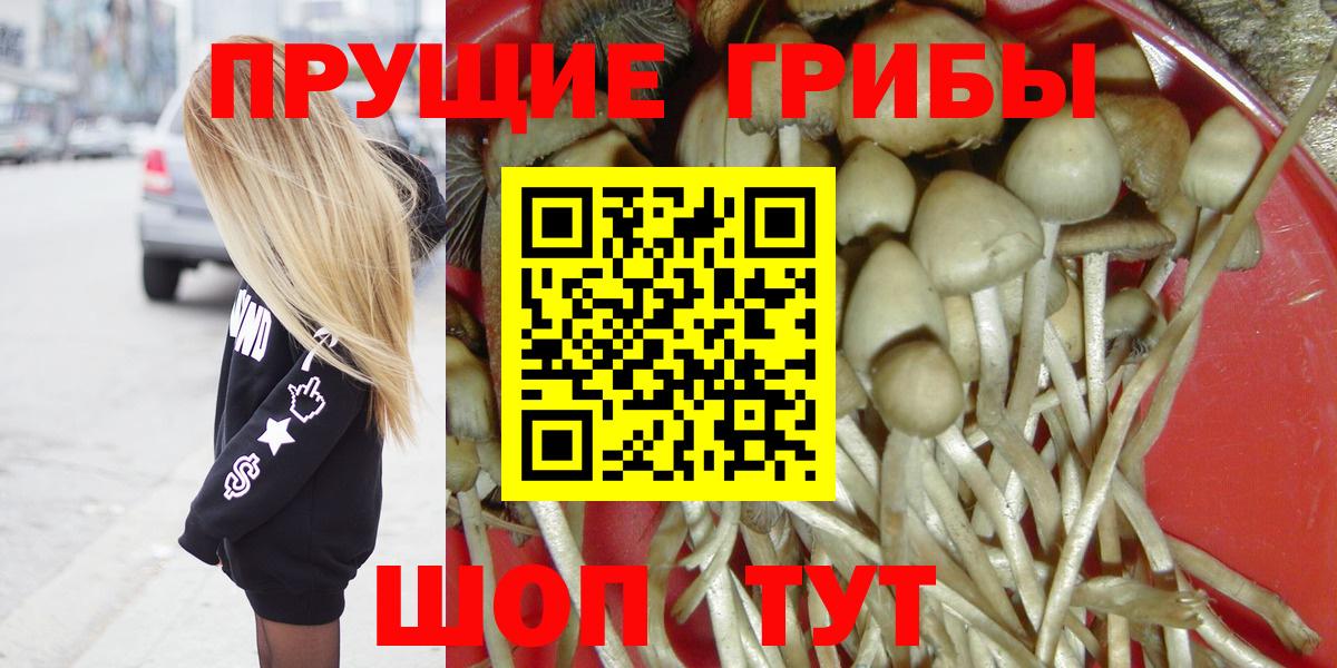Псилоцибиновые грибы прущие грибы  Галлюциногенные грибы мухоморы  Тихвин  Вход с VPN 